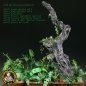 Preview: Jungle plants- set 3