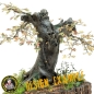 Preview: Alter Kastanienbaum